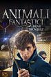 Trailer - Animali fantastici e dove trovarli
