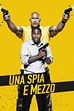 Trailer - Una spia e mezzo