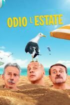 Odio l'estate
