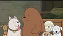Grizz aiuta tutti