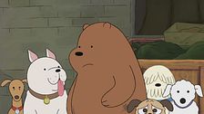 Grizz aiuta tutti