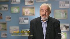 I consigli dell'esperto