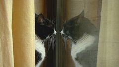 Non sono più l'unico...