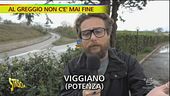 Al greggio non c'è mai fine!