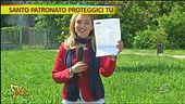 Santo patronato proteggici tu