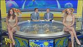Tapiro di consolazione