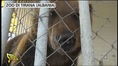Zoo di Tirana (Albania)