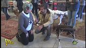 Paesi e paesaggi