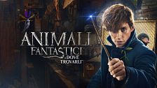 Animali fantastici e dove trovarli