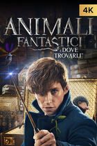 Animali fantastici e dove trovarli