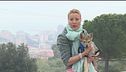 I gatti della speranza