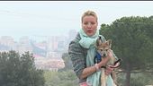I gatti della speranza