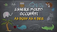 Motti animaleschi