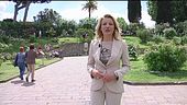 Cani da cerimonia