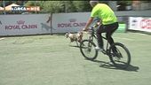 L'Educa-Cani: il canicross
