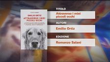 Il Can-piello: Attraverso i miei piccoli occhi