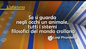 L'aforisma di Luigi Pirandello
