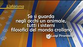L'aforisma di Luigi Pirandello