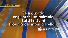 L'aforisma di Luigi Pirandello