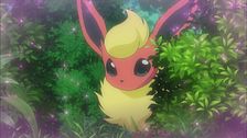 Ep. 2 - L'amore colpisce, Eevee rabbrividisce