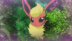 Ep. 2 - L'amore colpisce, Eevee rabbrividisce