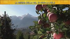 Le mele della Val di Non