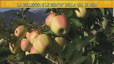 I paesaggi e le mele della Val di Non