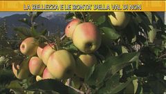 I paesaggi e le mele della Val di Non