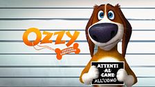 Ozzy - Cucciolo coraggioso