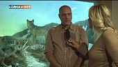 Segugi anti-Veleno