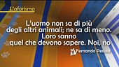 L'aforisma di Fernando Pessoa