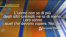 L'aforisma di Fernando Pessoa