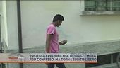 Il pedofilo disciplinato