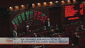 Nuovi vitalizi