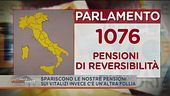 Reversibilità del vitalizio