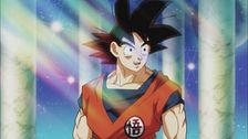 Facciamo il torneo di arti marziali di tutti gli universi. Coraggio, Zeno!