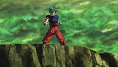 Anima e corpo a tutta potenza! Goku e Vegeta!