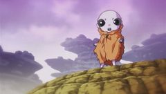 Il muro finale! Una barriera per non perdere ogni speranza