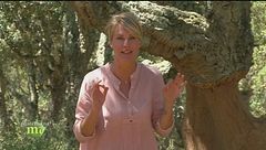 Puntata del 17 settembre