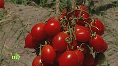 Puntata dell' 1 ottobre