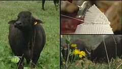 Puntata del 19 novembre