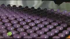 Puntata del 26 novembre