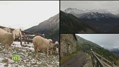 Puntata del 17 dicembre