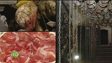 Re culatello