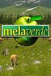 La coltivazione del melone