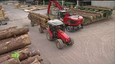 L'importanza del legno