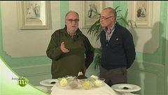 Puntata del 31 dicembre