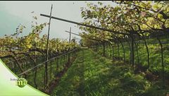 Puntata del 17 dicembre