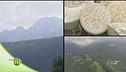 Radici della montagna