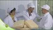 La perla del Garda